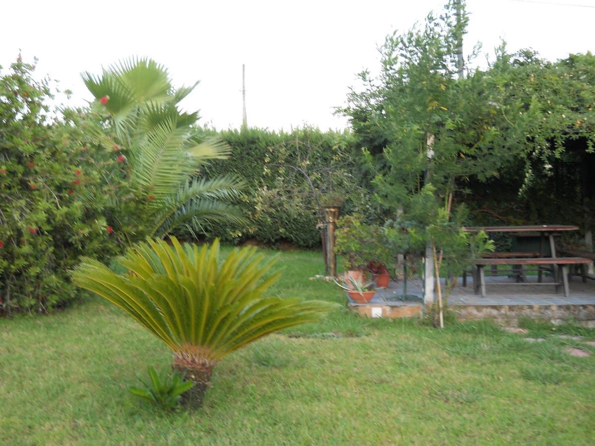 Oasi Verde Giffoni Sei Casali Exteriér fotografie